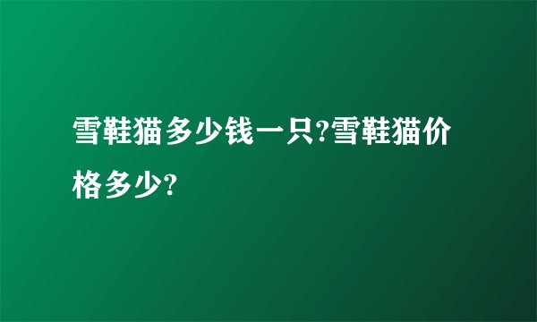 雪鞋猫多少钱一只?雪鞋猫价格多少?