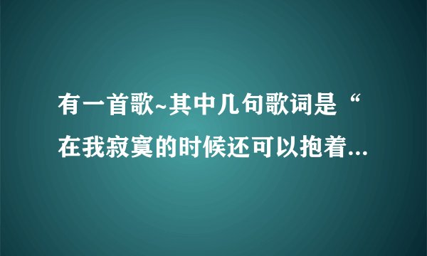 有一首歌~其中几句歌词是“在我寂寞的时候还可以抱着你”~~歌名是什么了、？