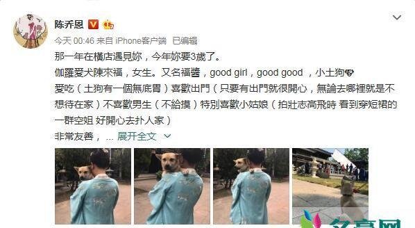 陈乔恩为爱狗庆生 粉丝调侃“活的不如狗”