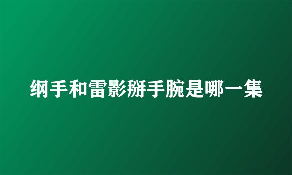 纲手和雷影掰手腕是哪一集