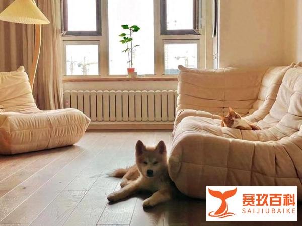 电热毯为啥不能铺在褥子下面？