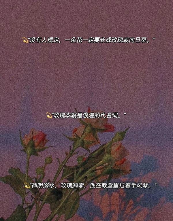 18.有关玫瑰的高级浪漫文案