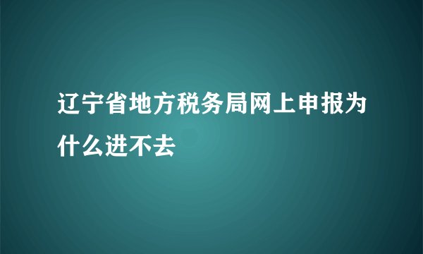 辽宁省地方税务局网上申报为什么进不去
