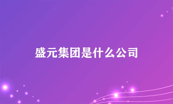 盛元集团是什么公司