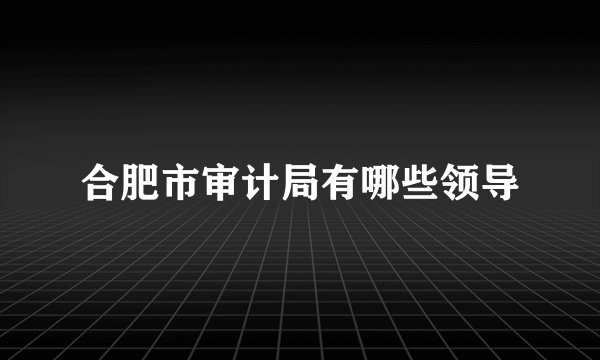 合肥市审计局有哪些领导