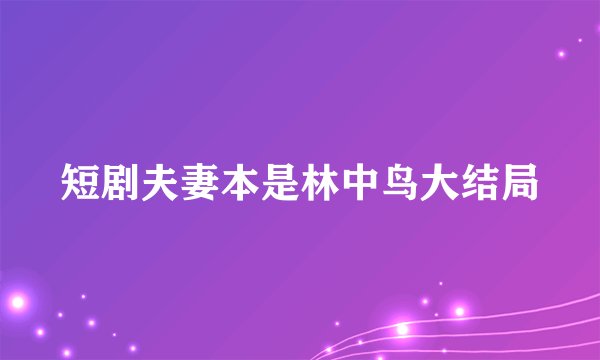 短剧夫妻本是林中鸟大结局