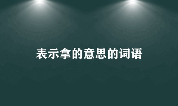 表示拿的意思的词语