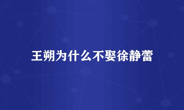 王朔为什么不娶徐静蕾