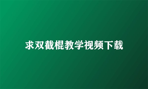 求双截棍教学视频下载