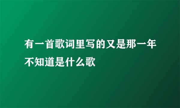 有一首歌词里写的又是那一年不知道是什么歌