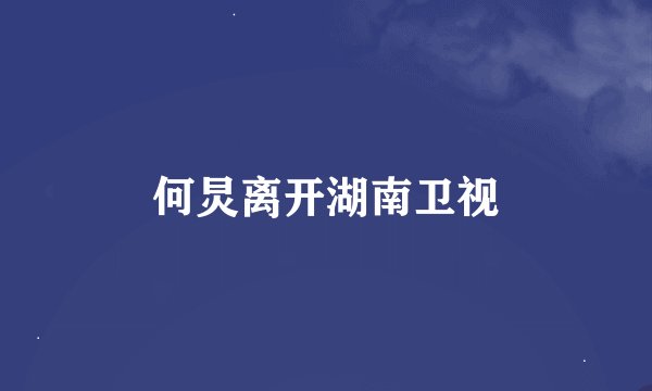 何炅离开湖南卫视