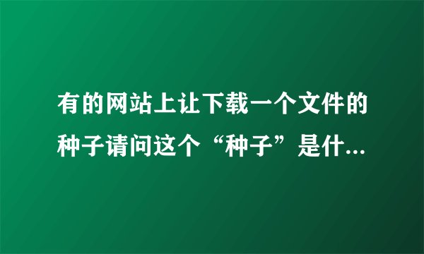 有的网站上让下载一个文件的种子请问这个“种子”是什么意思？