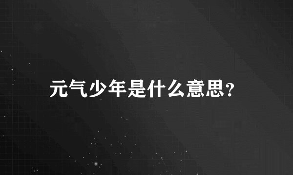 元气少年是什么意思?