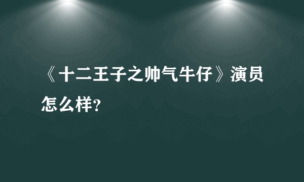 《十二王子之帅气牛仔》演员怎么样?