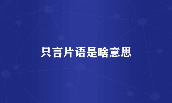 只言片语是啥意思