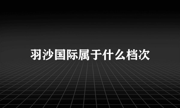 羽沙国际属于什么档次