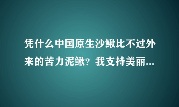 凭什么中国原生沙鳅比不过外来的苦力泥鳅？我支持美丽的国产沙鳅