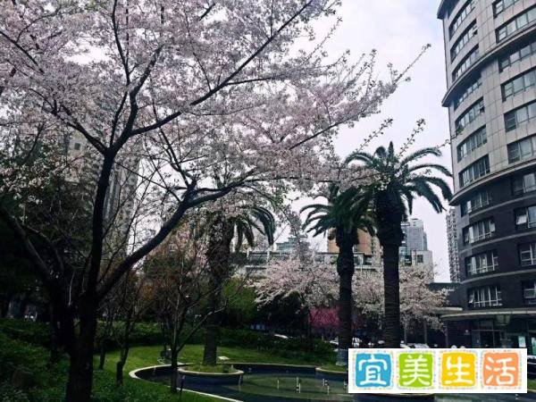 上海中山公园有什么好玩的