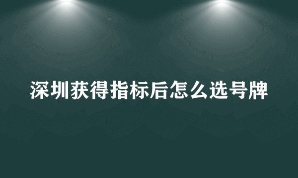 深圳获得指标后怎么选号牌