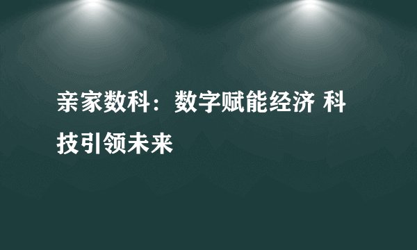 亲家数科：数字赋能经济 科技引领未来