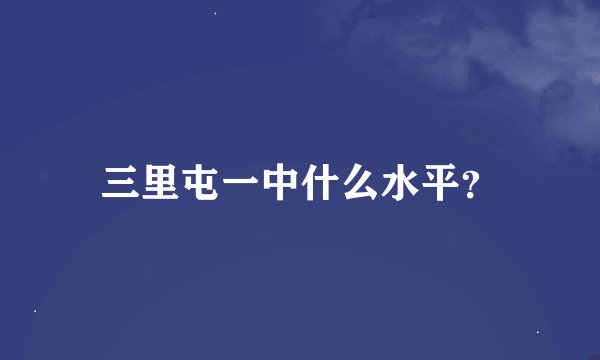 三里屯一中什么水平？