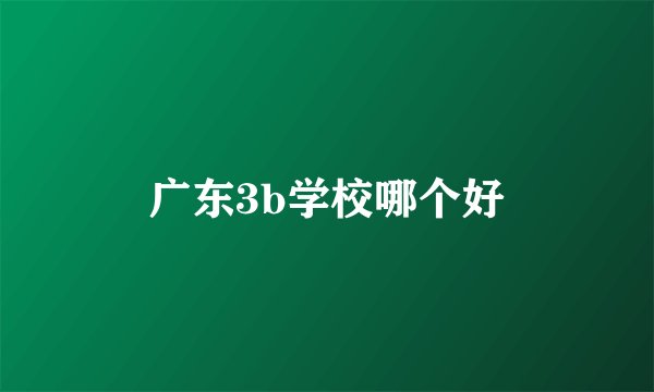 广东3b学校哪个好