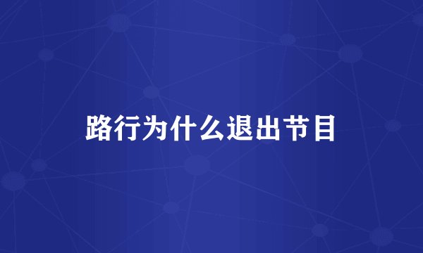 路行为什么退出节目