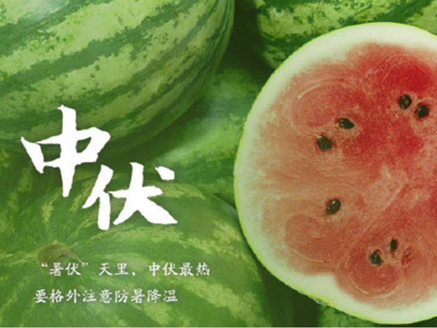 中伏有什么寓意