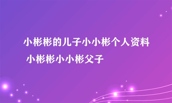 小彬彬的儿子小小彬个人资料 小彬彬小小彬父子