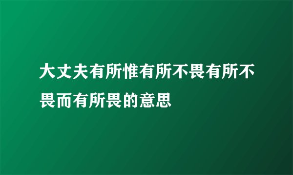 大丈夫有所惟有所不畏有所不畏而有所畏的意思