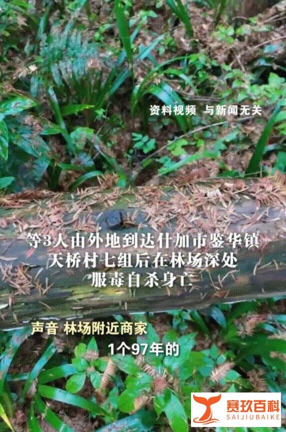 四川一林场发现3名死者，3人从外地到达，在林场深处服毒自杀