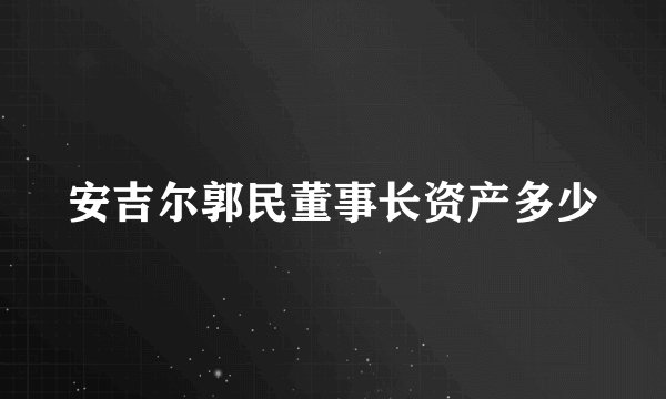安吉尔郭民董事长资产多少