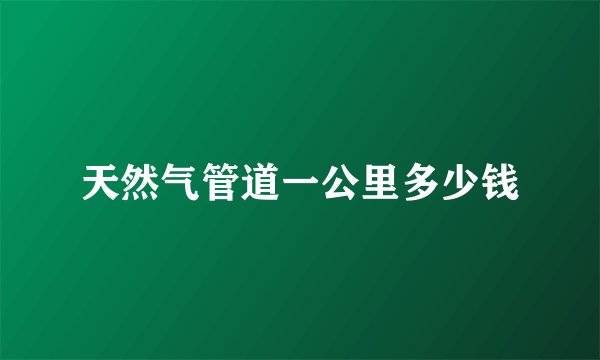 天然气管道一公里多少钱