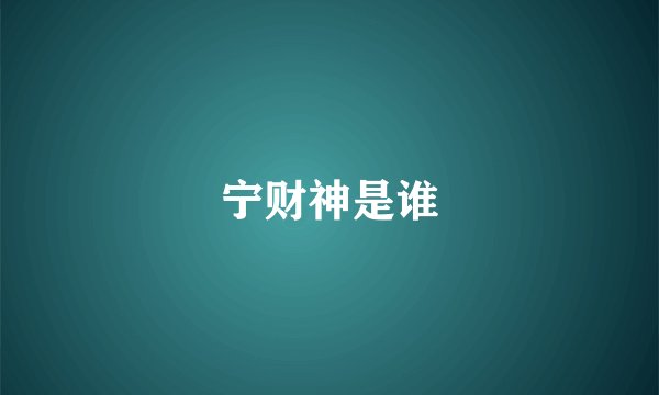 宁财神是谁
