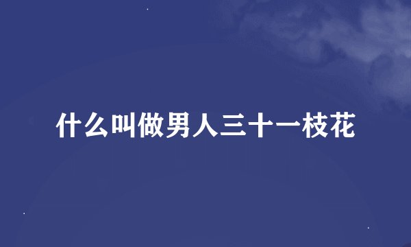 什么叫做男人三十一枝花