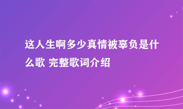 这人生啊多少真情被辜负是什么歌 完整歌词介绍