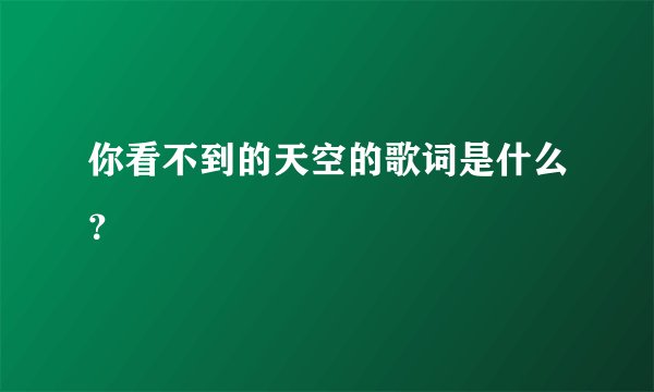 你看不到的天空的歌词是什么？