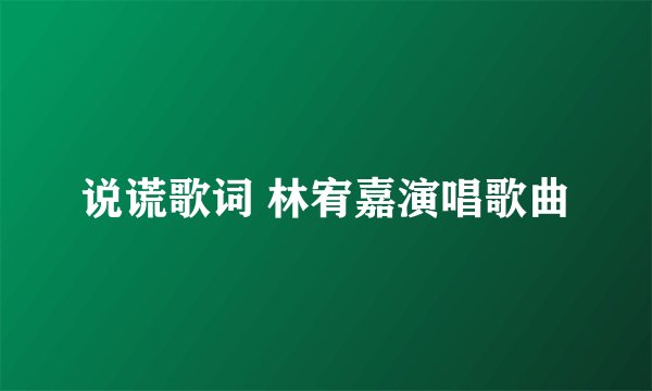 说谎歌词 林宥嘉演唱歌曲