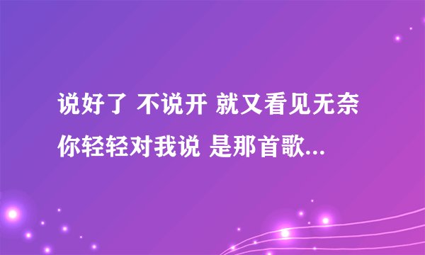 说好了 不说开 就又看见无奈你轻轻对我说 是那首歌的 歌词