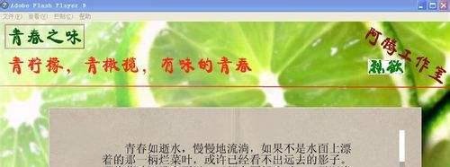 友益文书制作电子杂志-利用zinemaker内页模板