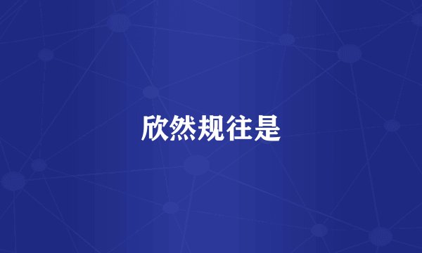 欣然规往是