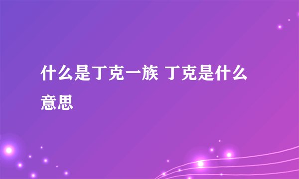 什么是丁克一族 丁克是什么意思