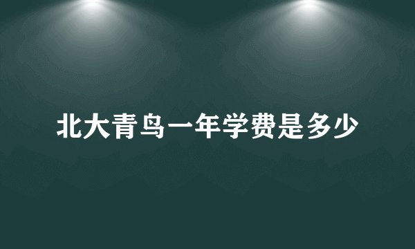 北大青鸟一年学费是多少