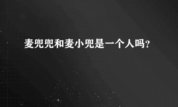 麦兜兜和麦小兜是一个人吗?