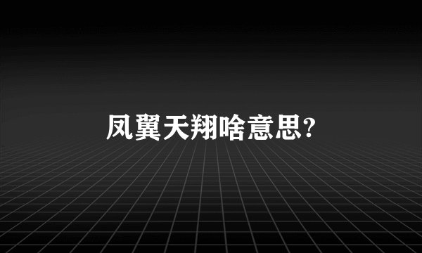 凤翼天翔啥意思?