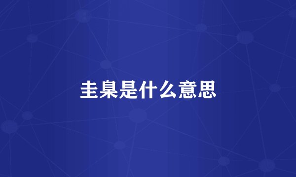 圭臬是什么意思