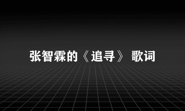 张智霖的《追寻》 歌词
