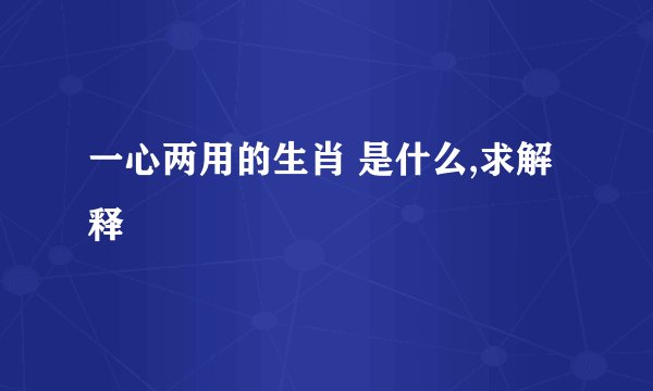 一心两用的生肖 是什么,求解释