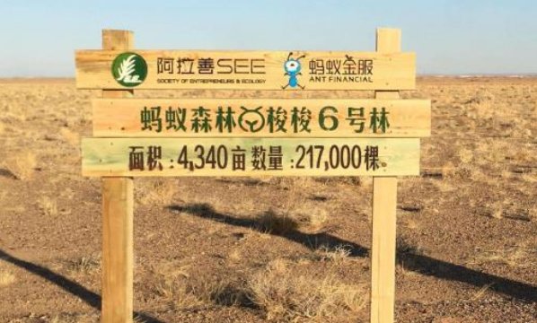 蚂蚁森林声明是纯公益项目,到底是谁在诋毁它?