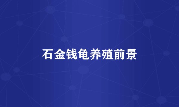 石金钱龟养殖前景